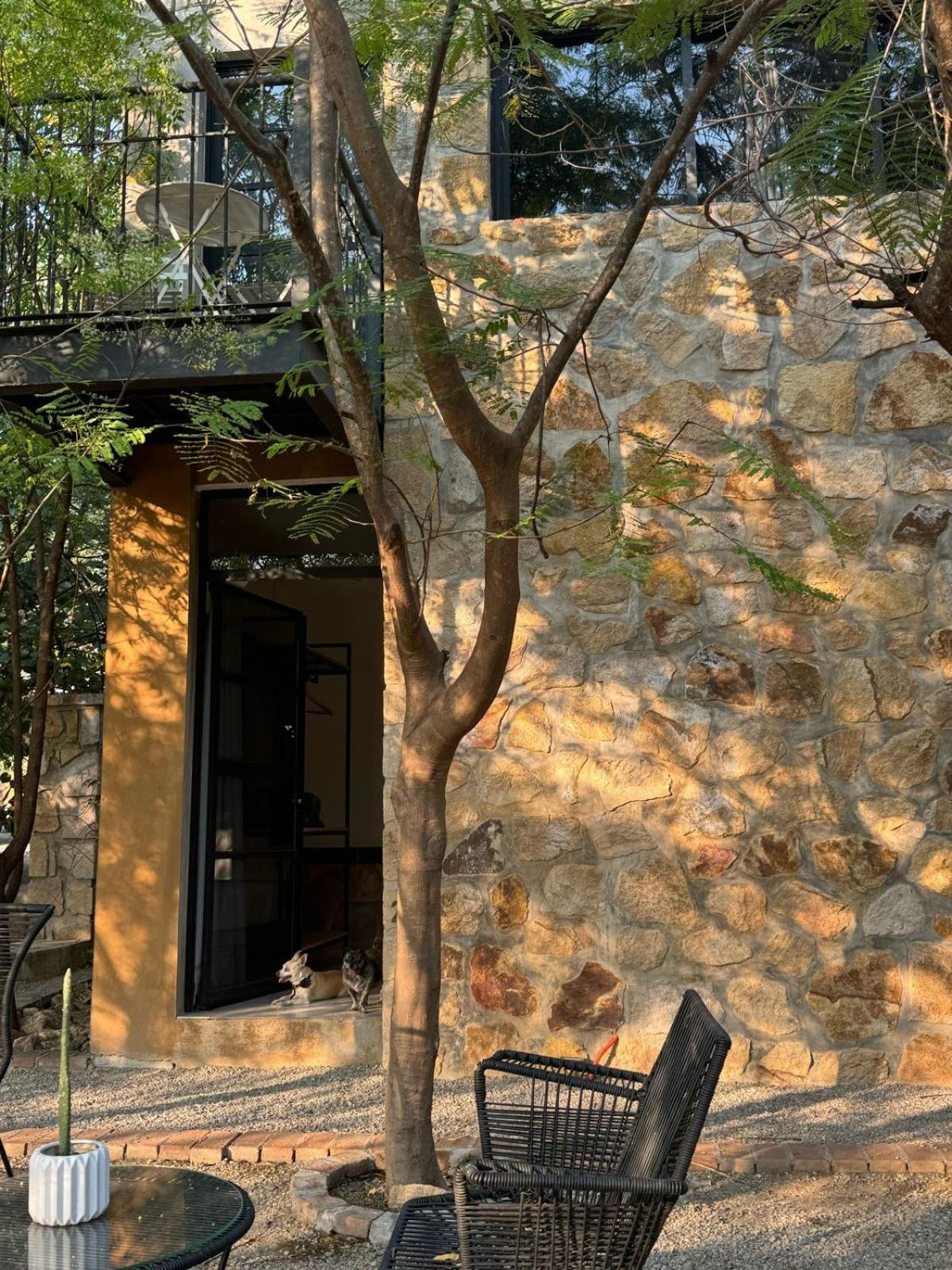 Yauik D Daire Tequesquitengo Dış mekan fotoğraf